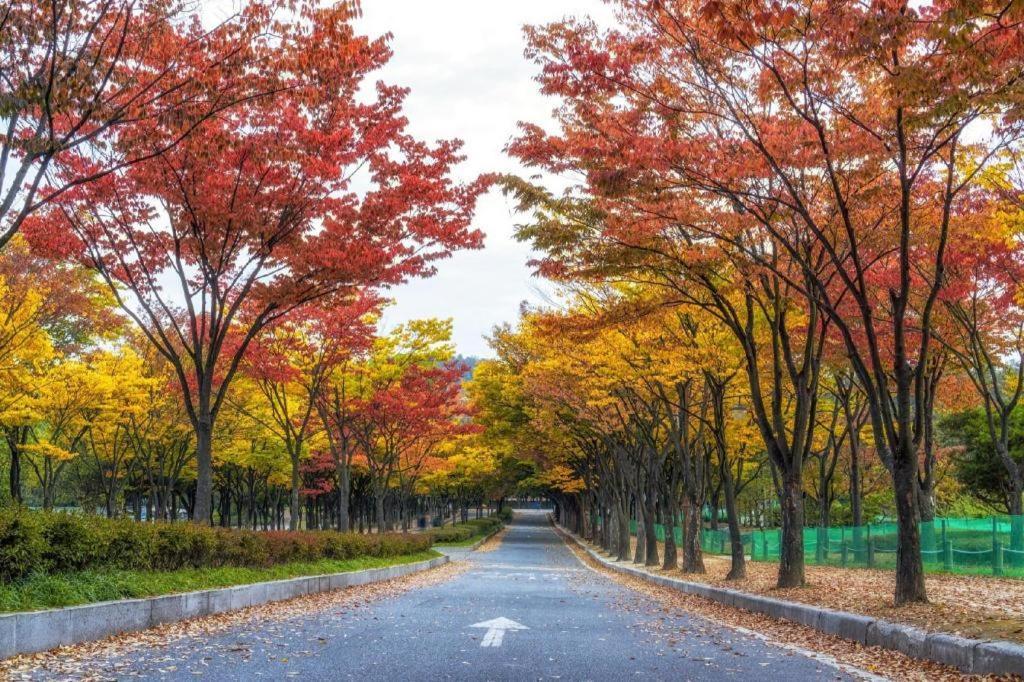 Shampoo Hotel Incheon Eksteriør bilde