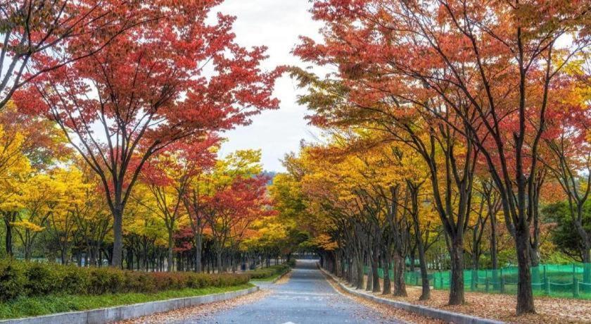 Shampoo Hotel Incheon Eksteriør bilde